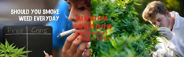 ГАЛЛЮЦИНОГЕННЫЕ ГРИБЫ Армянск