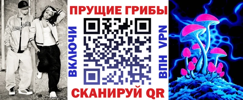 купить наркоту  Лермонтов  Галлюциногенные грибы MAGIC MUSHROOMS 
